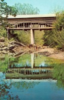 /album/unites-states/pigeon-jpg/