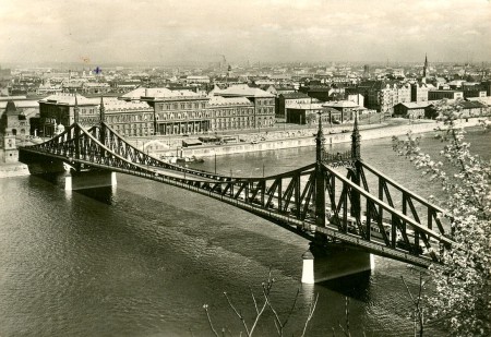 Liberty Bridge, Budapest